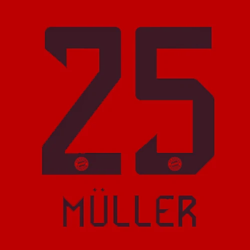 Bayern Munich 24/25 Namesets - Image 2