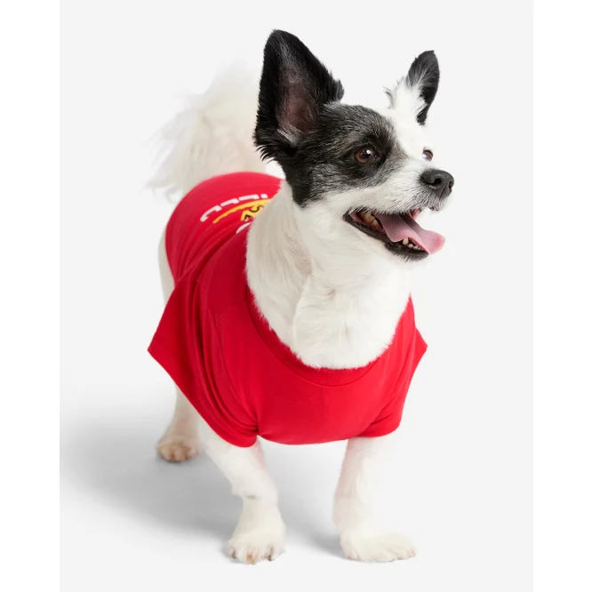 LFC Dog This Is Anfield Tee - Image 2