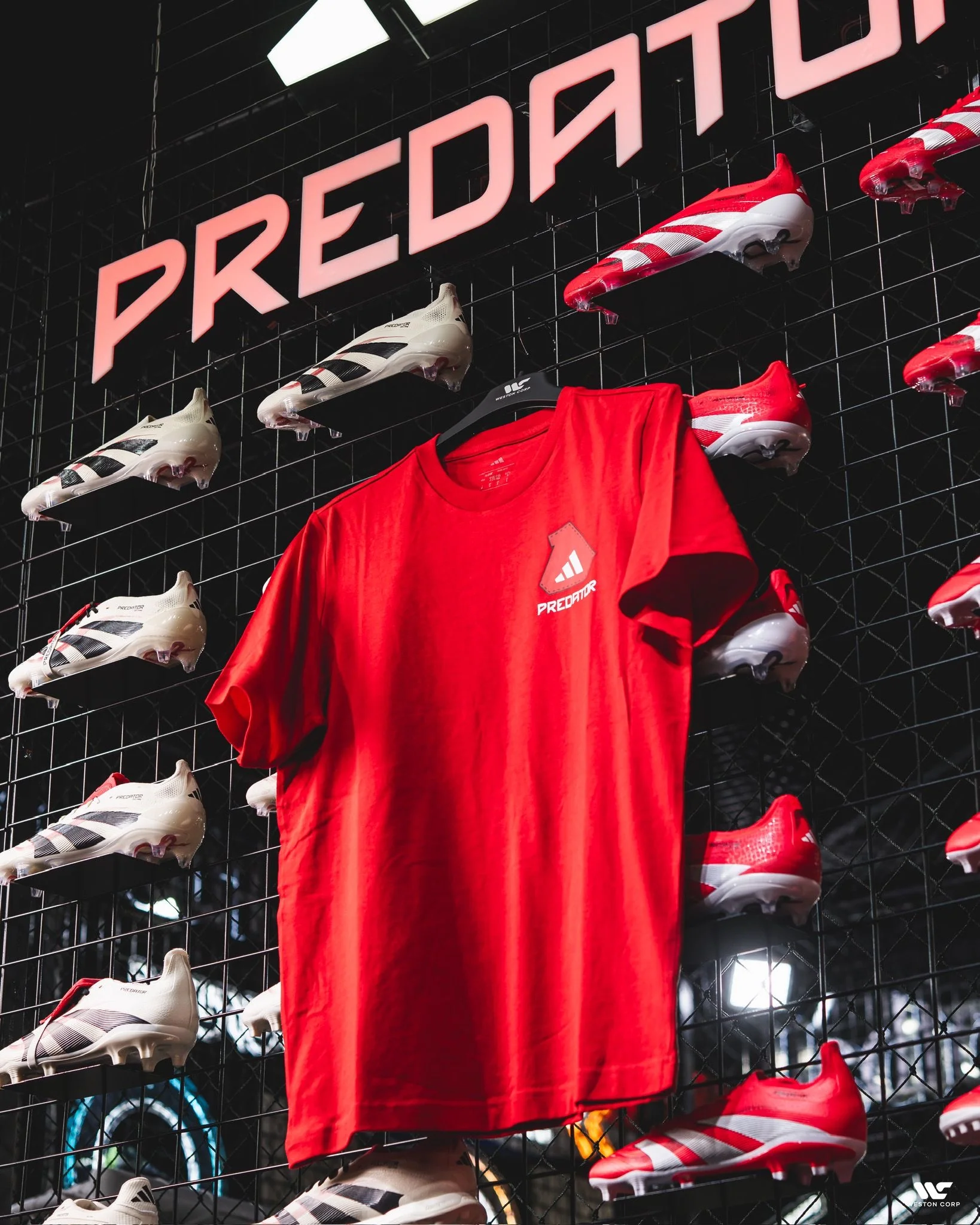 Predator Adult History Graphic Tee - Image 3